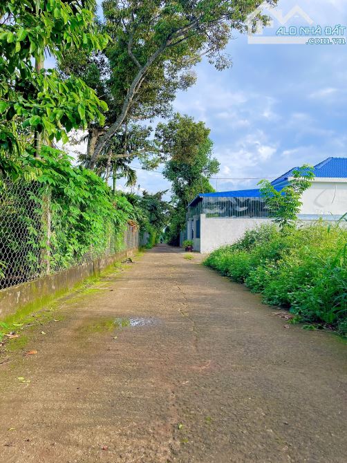 Bán đất hẻm mậu thân ngang 10m sâu 20 giá 1,35tỷ - 2