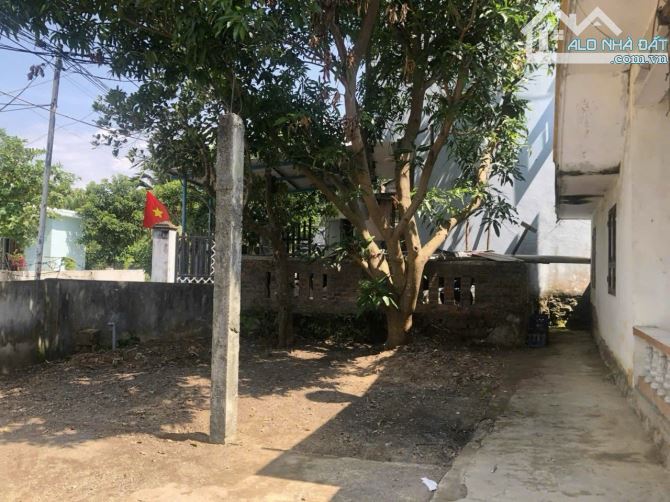 🏡 Bán Nhanh Lô Đất Hòa Liên – 152m² Vuông Vắn – Sổ Đỏ Sang Tên Ngay – Giá Sốc 1.7 Tỷ 🏡 - 2