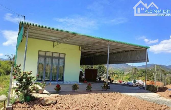 CỰC HIẾM❗️Bán nhà vườn sầu riêng đường Blaoxere Đại Lào, phường 3 Bảo Lộc. - 2