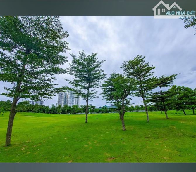 ĐẤT HIẾM phân lô KIM GIANG CHỈ 16.X tỷ, 66m2,MT 4.2M.NGÕ 7M, tặng nhà C4,gần KĐT Đại Kim. - 3