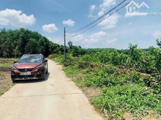 Bán đất vườn hơn 5 xào xã Bình Lợi view sông Đồng Nai, sổ hồng riêng - 3