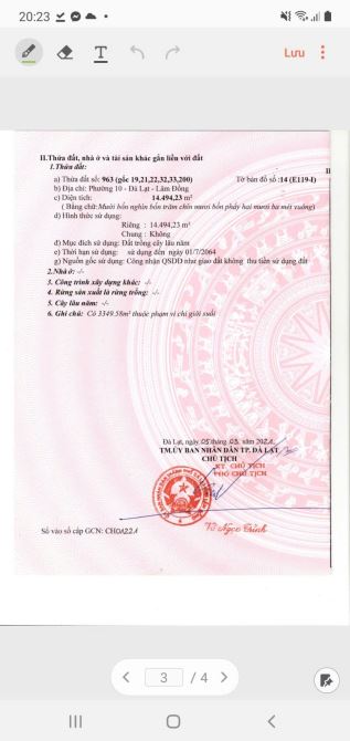 3 HECTA ĐẤT TRIỀN VIEW ĐỒI THÔNG - ĐÀ LẠT - 3