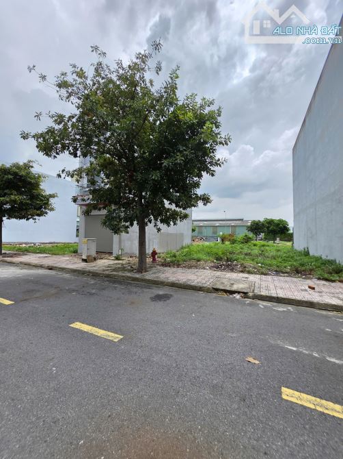 2,45Tỷ TL🔥Bán đất 68m2 đường D2 KDC Lê Phong An Phú 2, p.An Phú, Tp.Thuận An - 3
