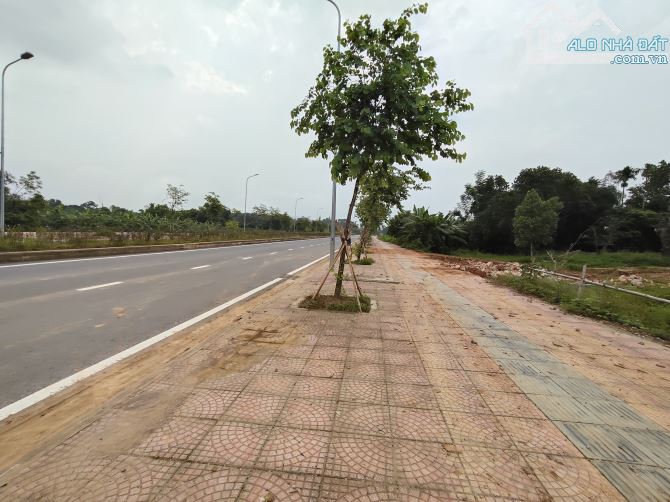 BÁN LÔ ĐẤT 235M BÁM TRỤC CHÍNH KINH DOANH CỔNG VÀO KCN 213HA LƯƠNG SƠN - 3