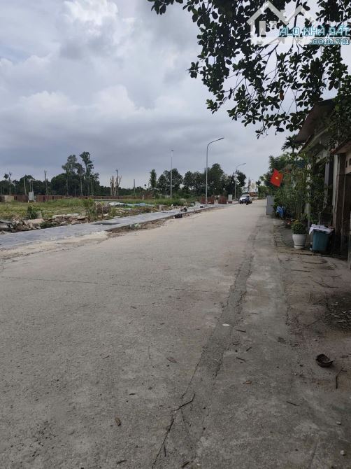 Mảnh đất hàng xóm khu đấu giá, gần đường dẫn lên cầu tứ Liên   DT 49m   MT 5m  Đường thông - 3