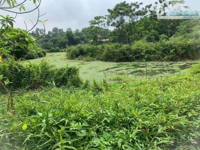 🌿 CƠ HỘI ĐẦU TƯ - NGHỈ DƯỠNG HẤP DẪN 🌿 - 3