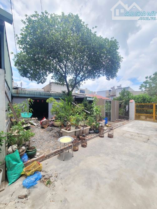 Bán đất 4.4x24m, hẻm Mạch Thị Liễu p. Tân Đông Hiệp gần trường cấp 1,2 - 4
