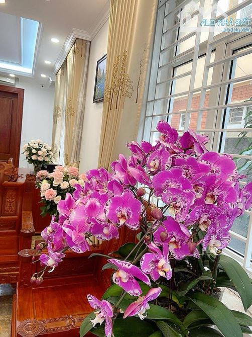 Bán biệt thự làng việt kiều châu âu Hà Đông khu biệt thự vip dân trí cao an ninh tuyệt đối - 4