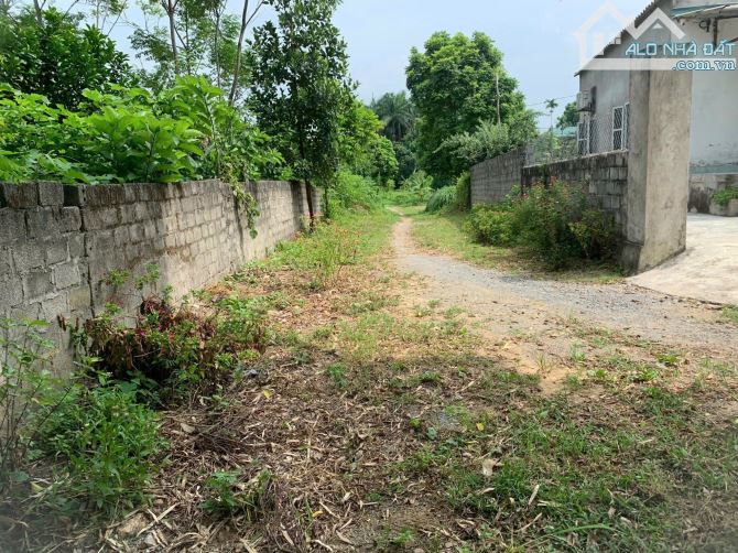 🌿 CƠ HỘI ĐẦU TƯ - NGHỈ DƯỠNG HẤP DẪN 🌿 - 4