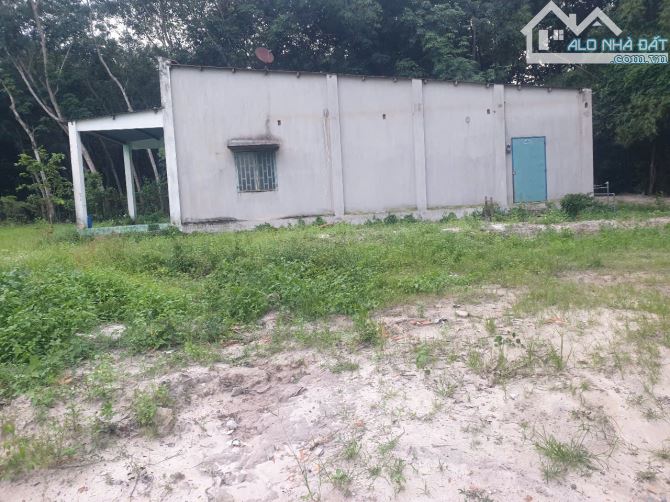 Bán đất Lai Hưng 85 giá 12,5tỷ, rẻ nhất Bàu Bàng - 4