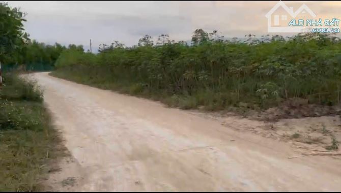 Đẩy nhanh đất diện tích 4.540m2 Ninh Tây, Khánh Hòa, giá 4.5 Tỷ - 5