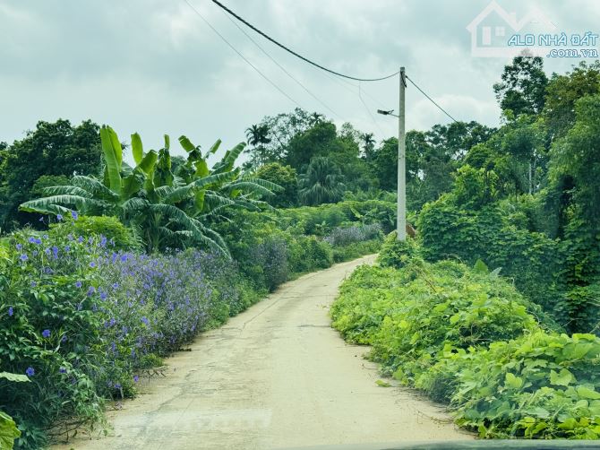 VIEW HỒ GIÁ CHỈ 10,5TR/M2 ĐẤT NỞ HẬU, CẦN BÁN ĐẤT ĐẸP GIÁ TỐT - 3