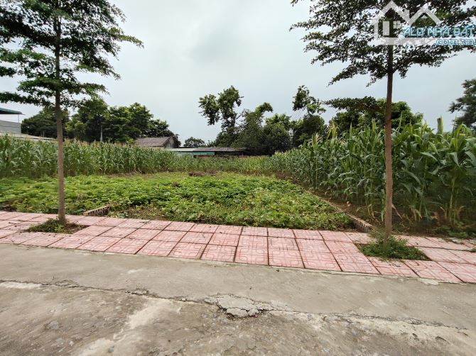 BÁN LÔ ĐẤT 144M DTU HAY NHÀ TRỌ ,KD GẦN KCN NHUẬN TRẠCH 1,X TỶ - 5