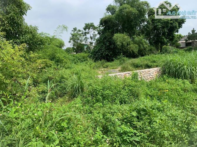 🌿 CƠ HỘI ĐẦU TƯ - NGHỈ DƯỠNG HẤP DẪN 🌿 - 5