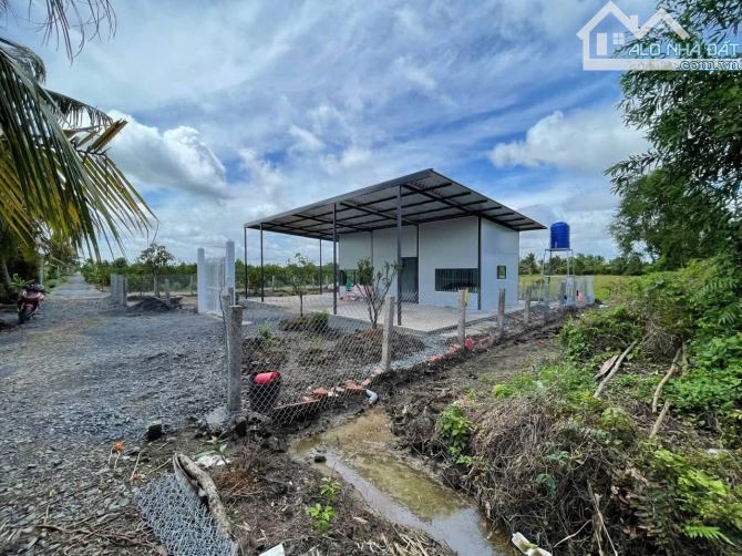 Chủ gửi bán nhà vườn 500m2 vườn. Tân Thành - Thủ thừa - long an - 5