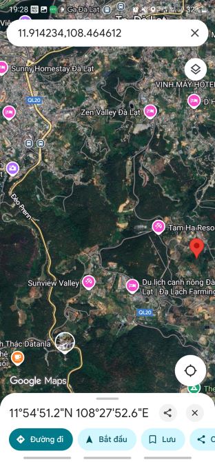 3 HECTA ĐẤT TRIỀN VIEW ĐỒI THÔNG - ĐÀ LẠT - 6