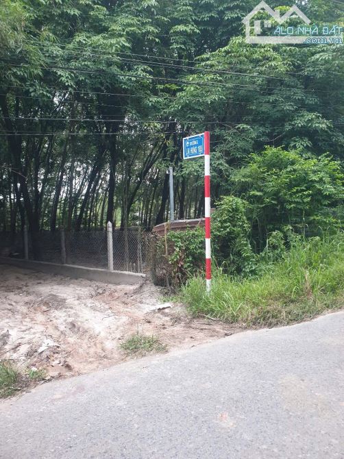 Bán đất Lai Hưng 85 giá 12,5tỷ, rẻ nhất Bàu Bàng - 6