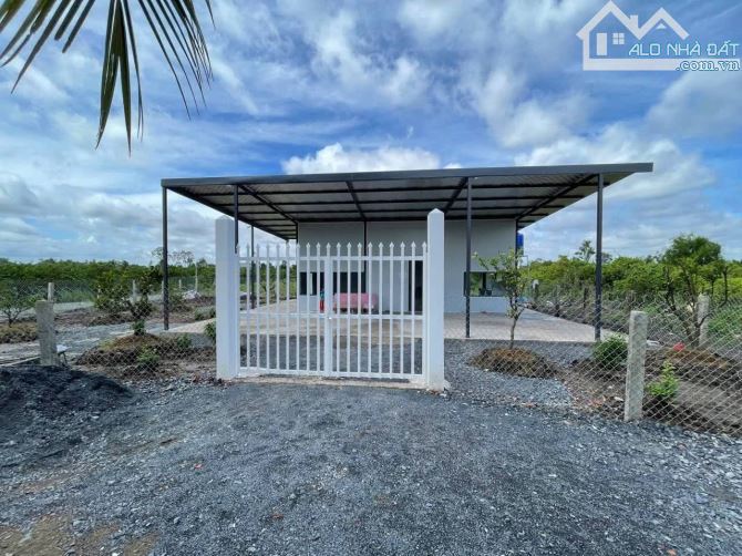 Chủ gửi bán nhà vườn 500m2 vườn. Tân Thành - Thủ thừa - long an - 6