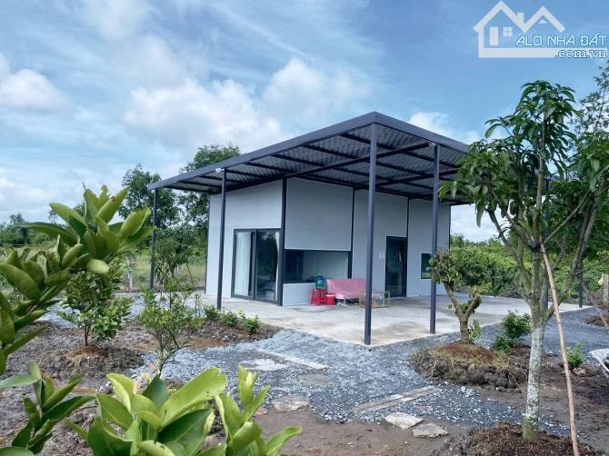 Chủ gửi bán nhà vườn 500m2 vườn. Tân Thành - Thủ thừa - long an - 7