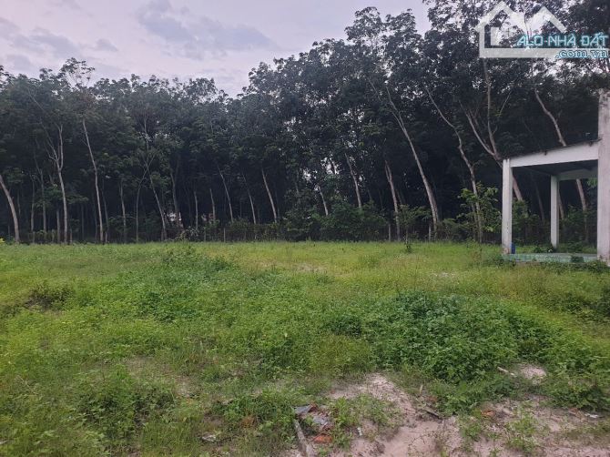 Bán đất Lai Hưng 85 giá 12,5tỷ, rẻ nhất Bàu Bàng - 8
