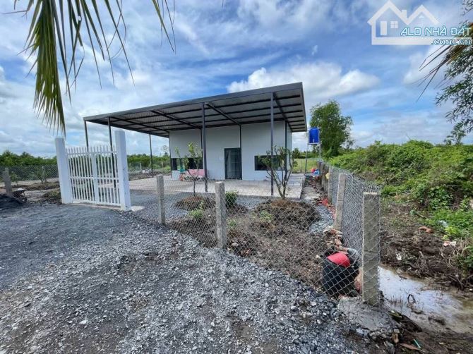 Chủ gửi bán nhà vườn 500m2 vườn. Tân Thành - Thủ thừa - long an - 8