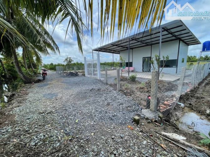 Chủ gửi bán nhà vườn 500m2 vườn. Tân Thành - Thủ thừa - long an - 9