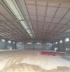 Cho Thuê 7.000m2 Xưởng Mới 100% Ngoài KCN Tân Uyên Bình Dương PCCC Tự Động