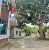 SIÊU PHẨM HƯNG LỘC PHƯỜNG VINH LỘC NGÕ HOÀNG TÁ THỐN 55,4m2 TÂY NAM ĐƯỜNG 5m