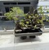 Bán nhà Đường Liên Khu 8-9 Bình Hưng Hòa A, Bình Tân - 4x12 - trệt lầu - 4,45 tỷ