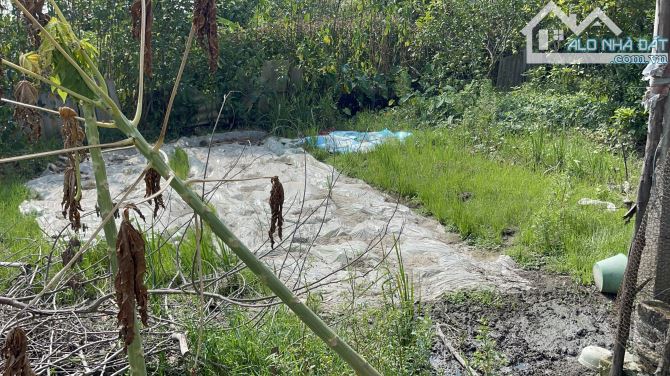 Chính chủ cần tiền muốn bán nhanh mảnh đất tại sóc Sơn
