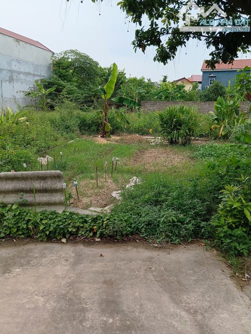 Bán Đất - Hiền Lương (Hiền Ninh) - 79M2 - 1,9 Tỷ