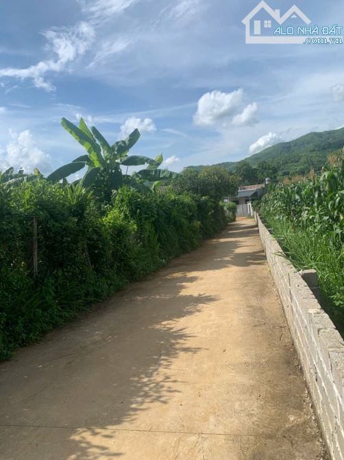 bán đất Cao Phong Hòa Bình 2000m 500m thổ cư GIÁ RẺ , cách tt HN 60km