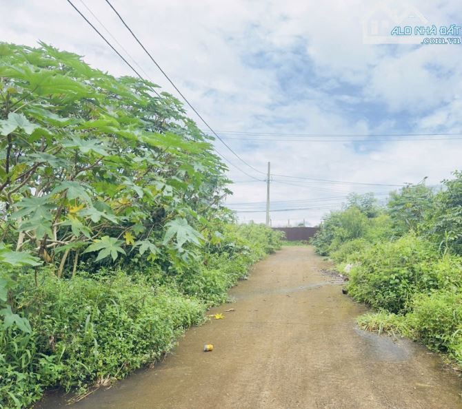 lô đất siêu đẹp nhìn ra Hồ Thôn 1_Đạt Lý 5*20 tcfull
