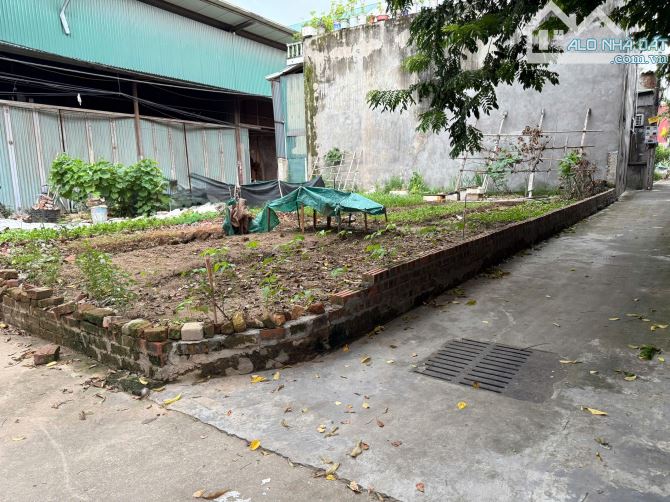 Bán đất Mai Lâm, Đông Anh 43m2, 4 tỉ, Inova đỗ cửa, 5p lên Vinhomes,triển lãm,cầu Tứ Liên