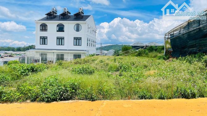 🏡✨ Cần bán Đất Villa Hẻm Xe Hơi, 290m2, ngang 16, đường Trịnh Hoài Đức, P.11, Đà Lạt