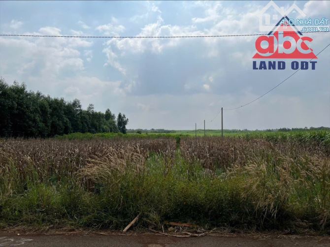 Bán 3 sào Đất Hưng Thịnh Trảng Bom Gần Đường 20 , Giáo Xứ Mân Coi 500M
