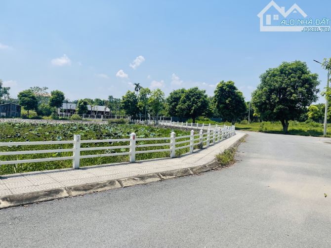 100m hồ sen lotus giá rẻ hơn thị trường 10 giá, sát ql21, cnc và đại học quốc gia
