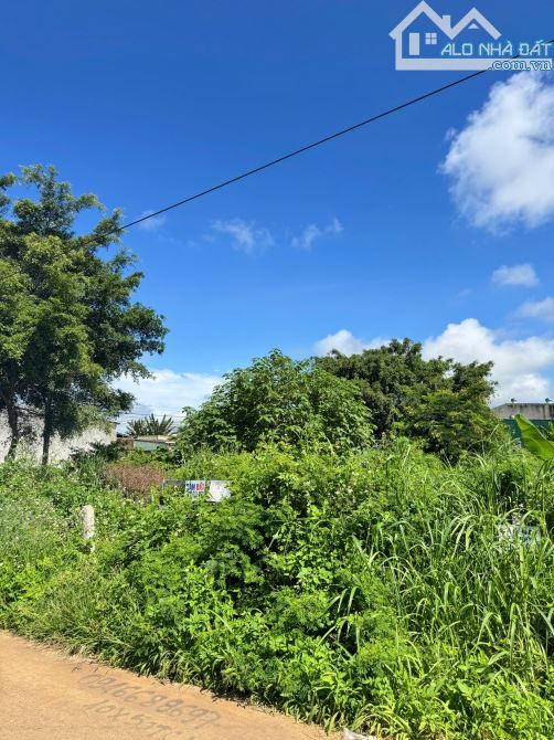 10x45m - SỔ HỒNG THỔ CƯ ĐƯỜNG TRỊNH TỐ TÂM - P.TÂN LỢI ( cũ). XÂY BIỆT THỰ/ CĂN HỘ CHO THÊ