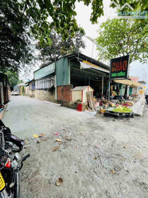 🏡 BÁN NHÀ SHR HẺM 5M – TRỊNH THỊ MIẾNG, HÓC MÔN, 5,5 x 23 m – CHỈ 4,65 TỶ.