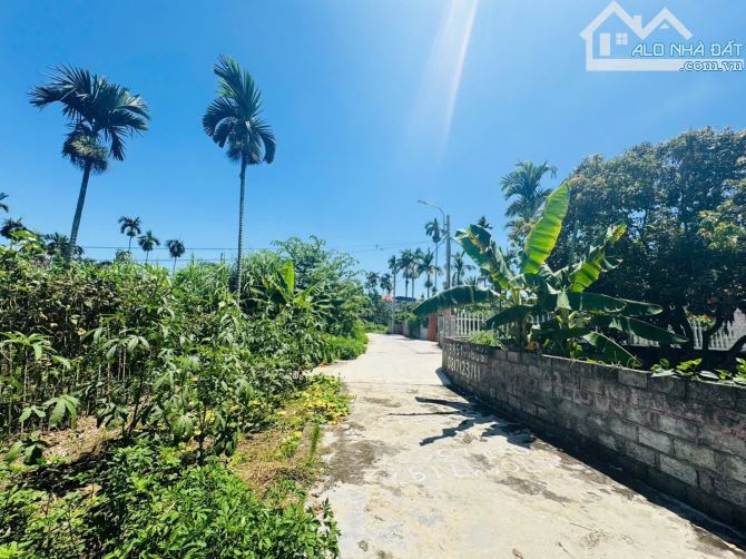 🎯 BÁN LÔ ĐẤT LÂM ĐỘNG CŨ – 60M² – NGÕ Ô TÔ – GẦN ĐƯỜNG 203 🆘 ▪️ Vị trí đẹp - Giá cực mềm