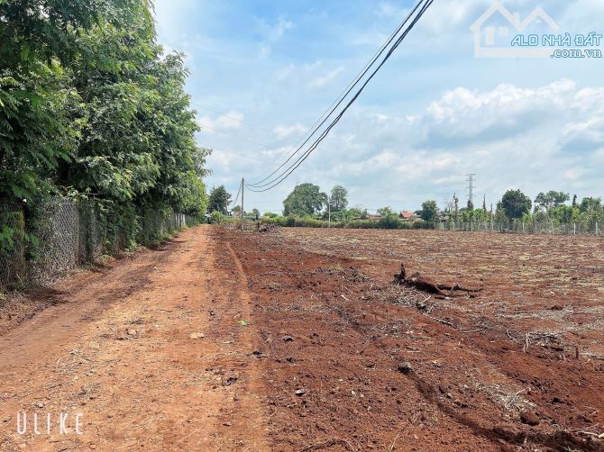 500M2 ĐẤT NÔNG NGHIỆP TẠI YMOAN 12x42 GIÁ 395 TRIỆU/LÔ