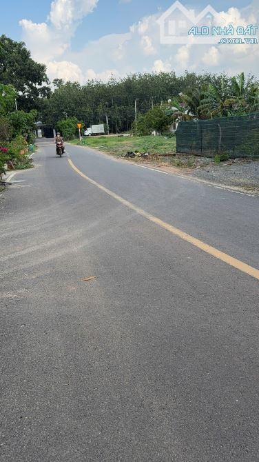 CẦN TIỀN XÂY NHÀ BÁN GẤP LÔ ĐẤT MẶT NHỰA , CÁCH DT742 100M  ĐẤT BÌNH  DƯƠNG