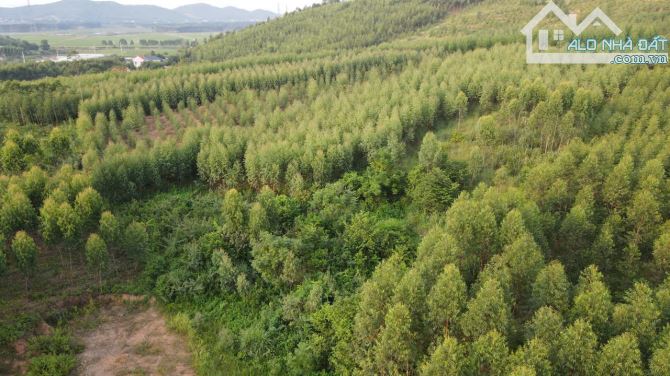 Chính chủ bán đất Cẩm Lý, Bắc Giang 2050m, mt 22m, giá 1.1tỷ