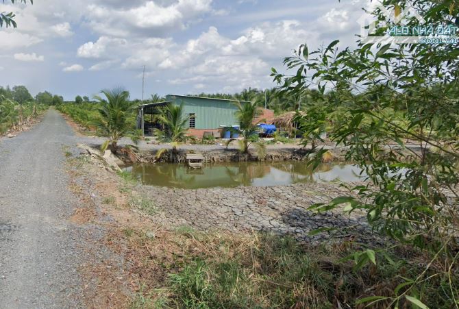 Bán 5.000m² đất vườn Lê Minh Xuân, Bình Chánh