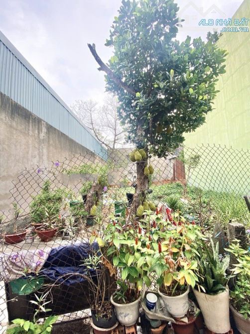 ⭐️⭐️⭐️ Đất Vuông SHR HXH 83m2 – Phan Huy Ích Gò Vấp