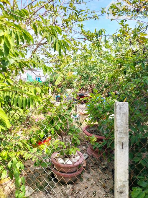 Cần ra đất gần biển ngang 16mét giá rẻ 1.350tr