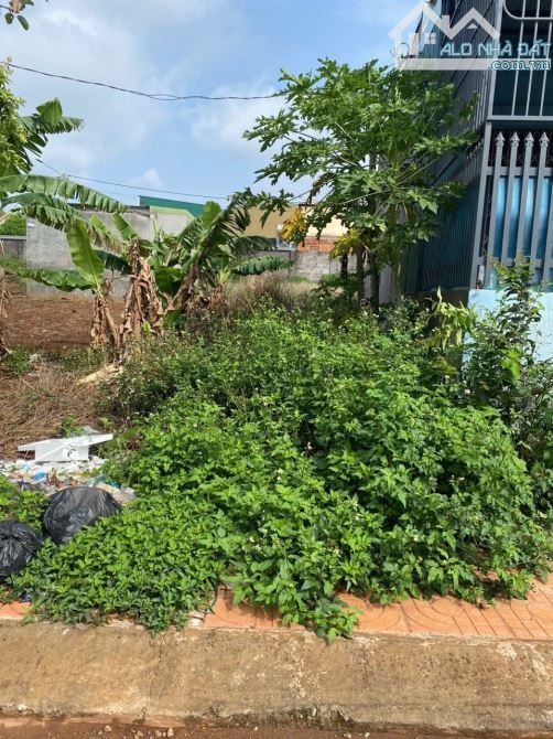 Bán đất mặt tiền đường Dã Tượng- P. Tân An