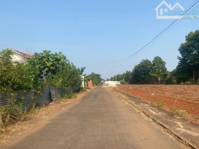 🔥 SIÊU PHẨM GIÁ RẺ – CHỈ 900 TRIỆU SỞ HỮU NGAY LÔ ĐẤT ĐẸP TẠI TP CẢNG – TP HỒ CHÍ MINH 🔥