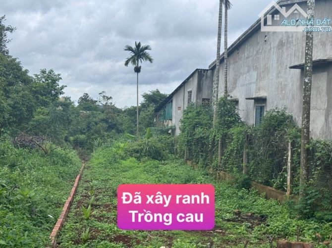 ĐẤT MT 15A HÒA THUẬN - PHƯỜNG TÂN AN  - ĐAKLAK 1,3Tỷ