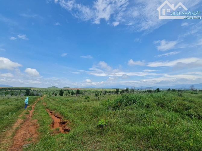 🌟TP. PHAN THIẾT - 19 SỔ – 19,7 HECTA ĐẤT ĐẸP H. HÀM MỸ - TIẾN THÀNH🌟  Vị trí vàng